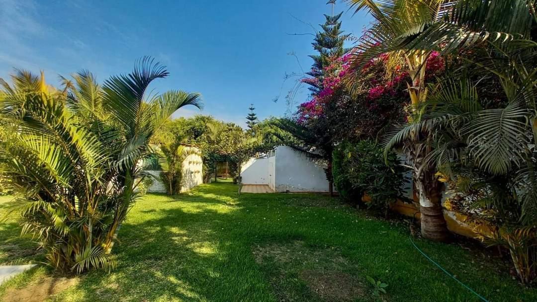 Villa Hospedaje Chanchan Cultural Lodge トルヒーリョ エクステリア 写真