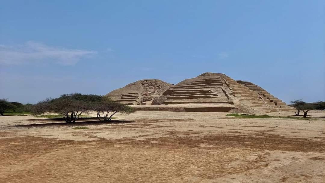 Villa Hospedaje Chanchan Cultural Lodge トルヒーリョ エクステリア 写真