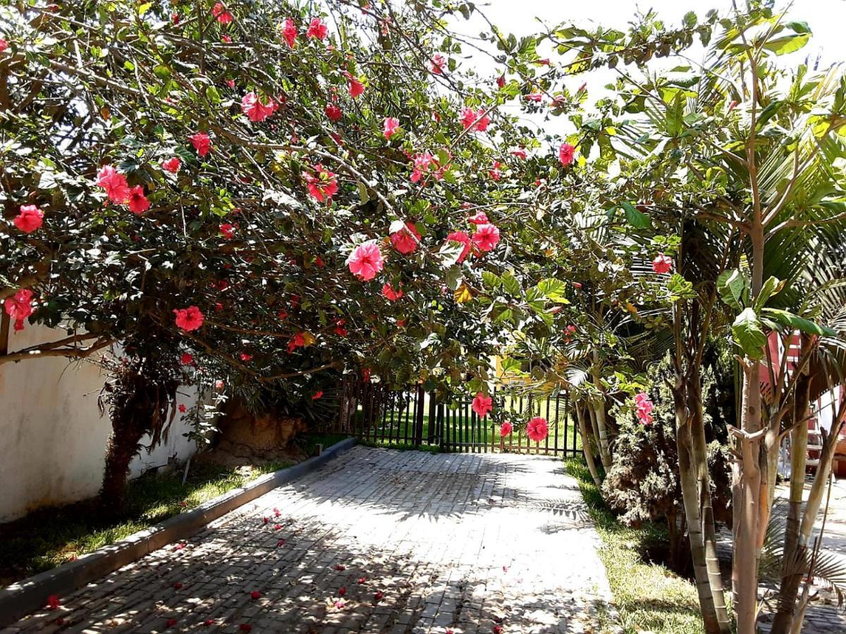 Villa Hospedaje Chanchan Cultural Lodge トルヒーリョ エクステリア 写真